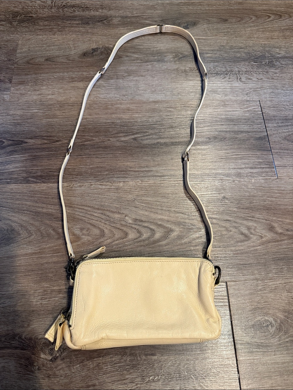Latico Crossbody Wallet in Cream